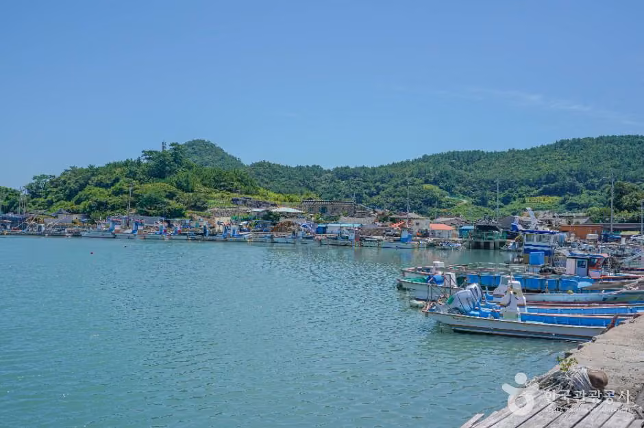 지죽도