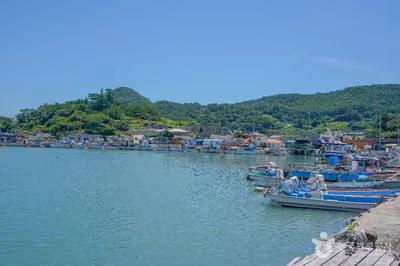 지죽도