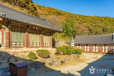 장육사