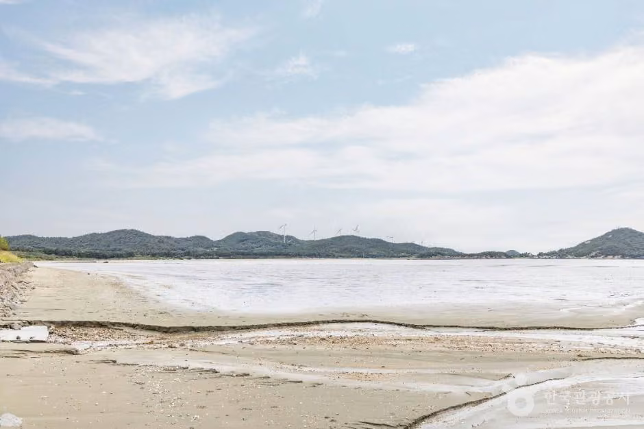 둔장해변