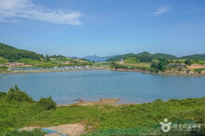 백일도