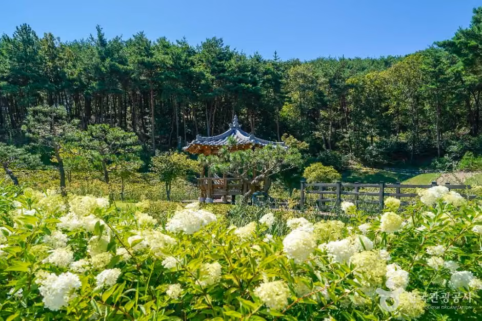 운제산산림욕장