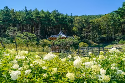운제산산림욕장