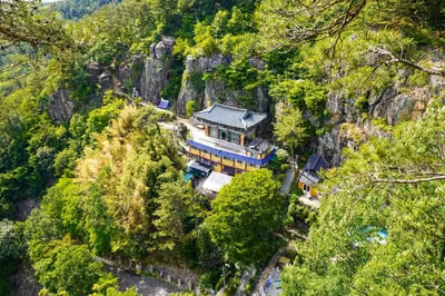 구절산