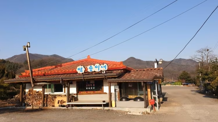 양순이네