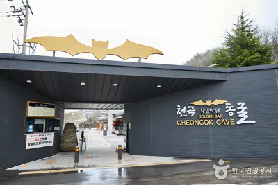 천곡동굴