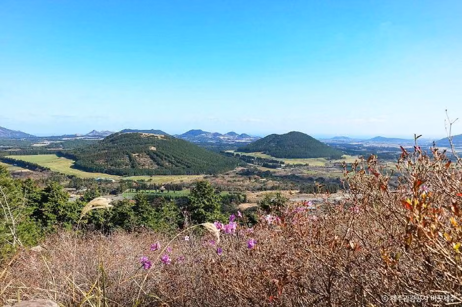 성불오름