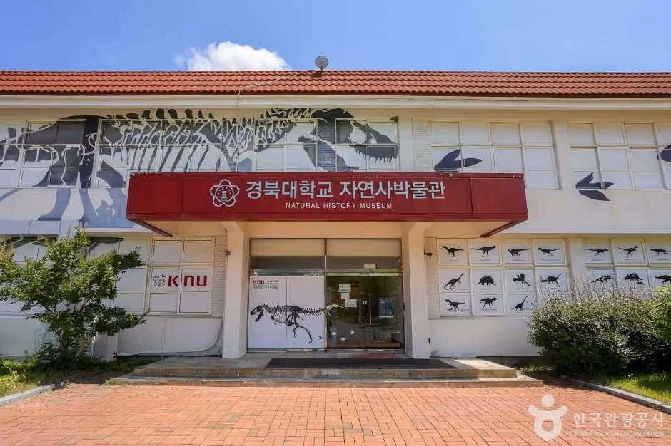 경북대학교자연사박물관