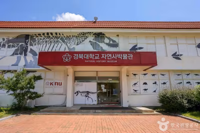 경북대학교자연사박물관
