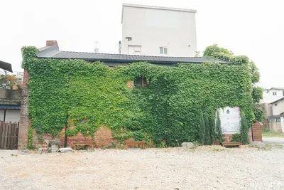 틈(TEUM)