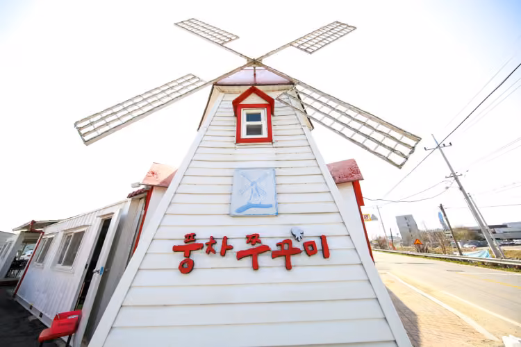 풍차쭈꾸미