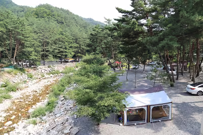 소나무와 계곡 캠핑장