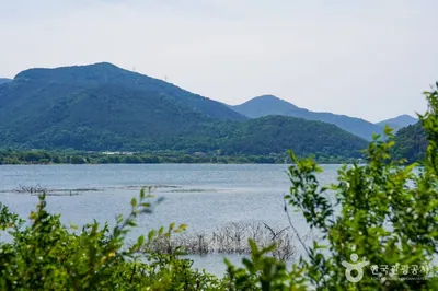 달창저수지