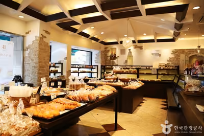 코아양과