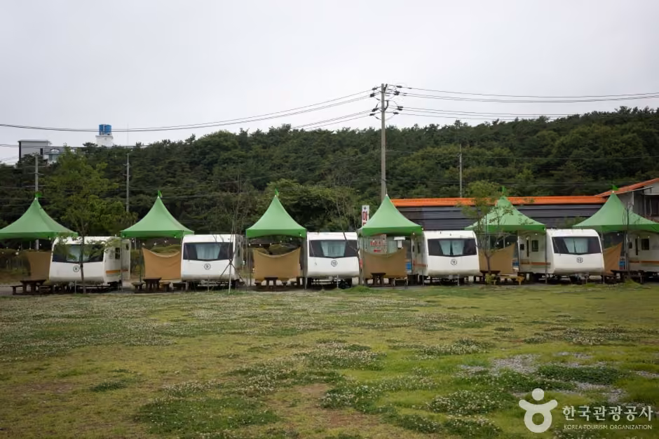 대부도캠핑시티