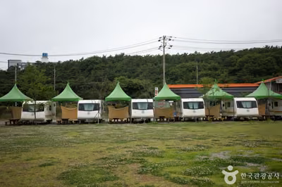 대부도캠핑시티