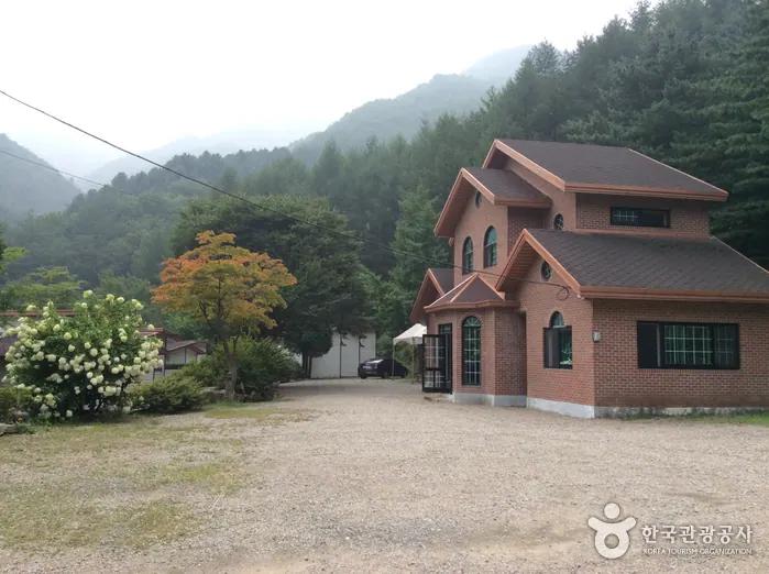 파인밸리