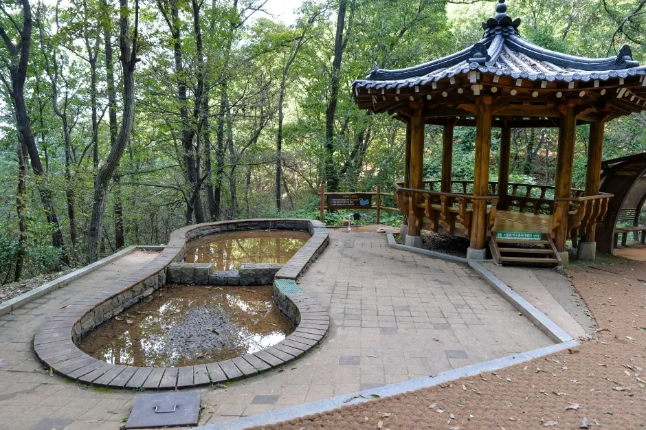 장동산림욕장