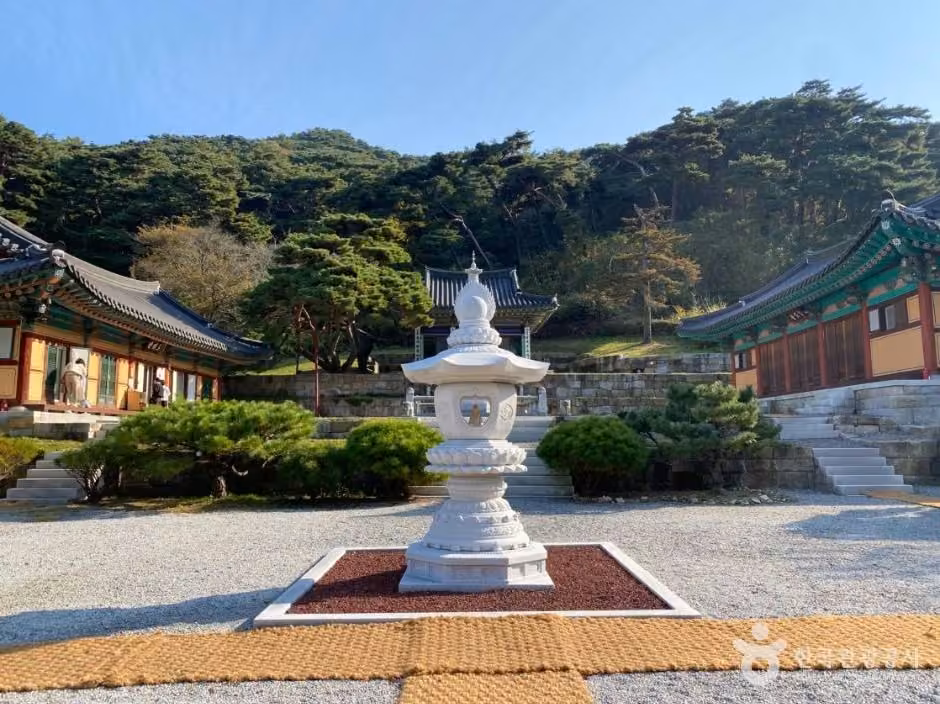 국형사