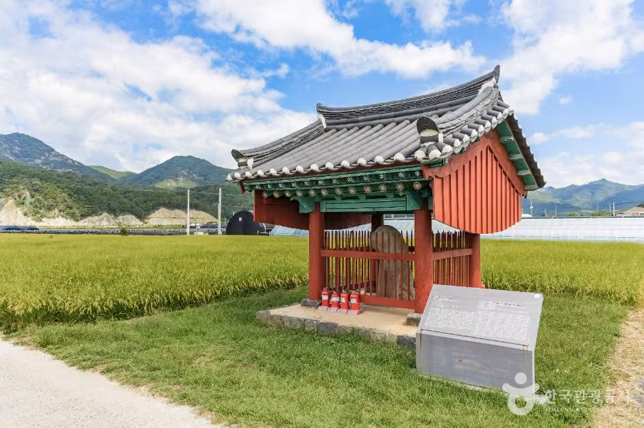 금산 천내리 용호석