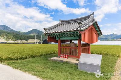 금산 천내리 용호석