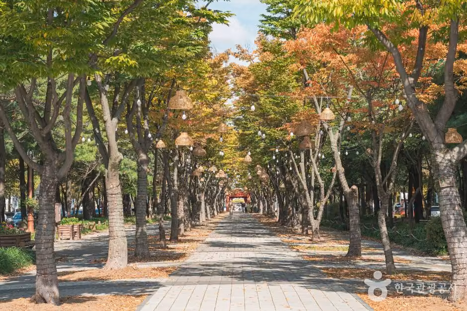보라매공원(대전)