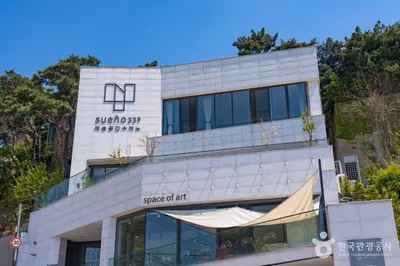 수애뇨339
