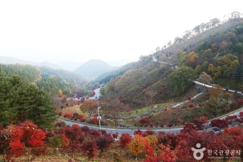 지리산 가는길