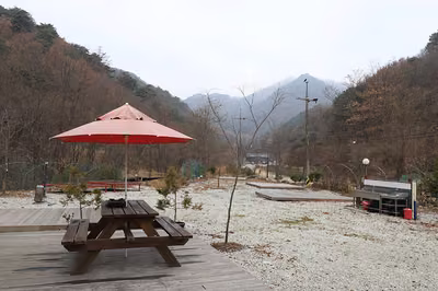 늘푸른관광농원