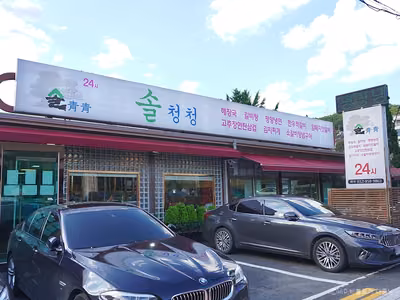 솔청청