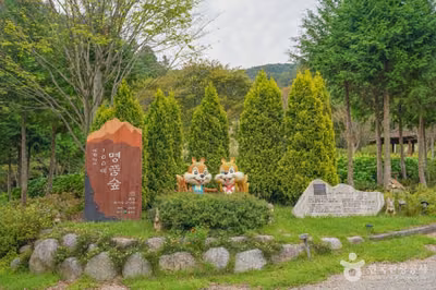 숲정원 윤제림