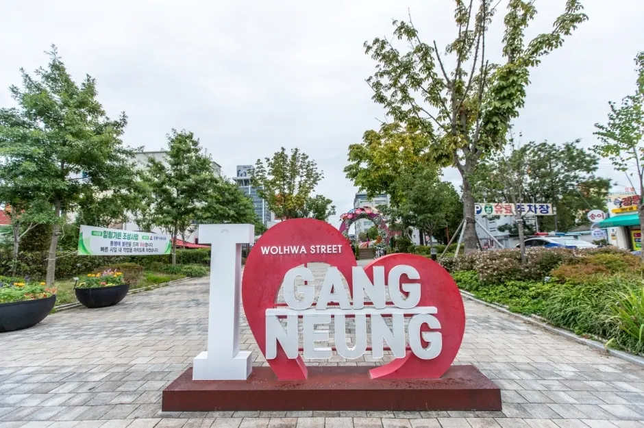 강릉 월화거리