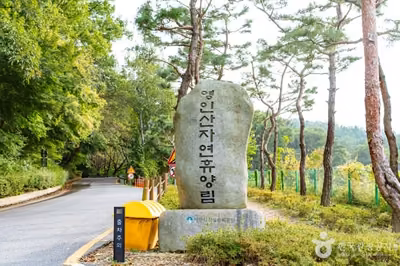 아산 영인산자연휴양림