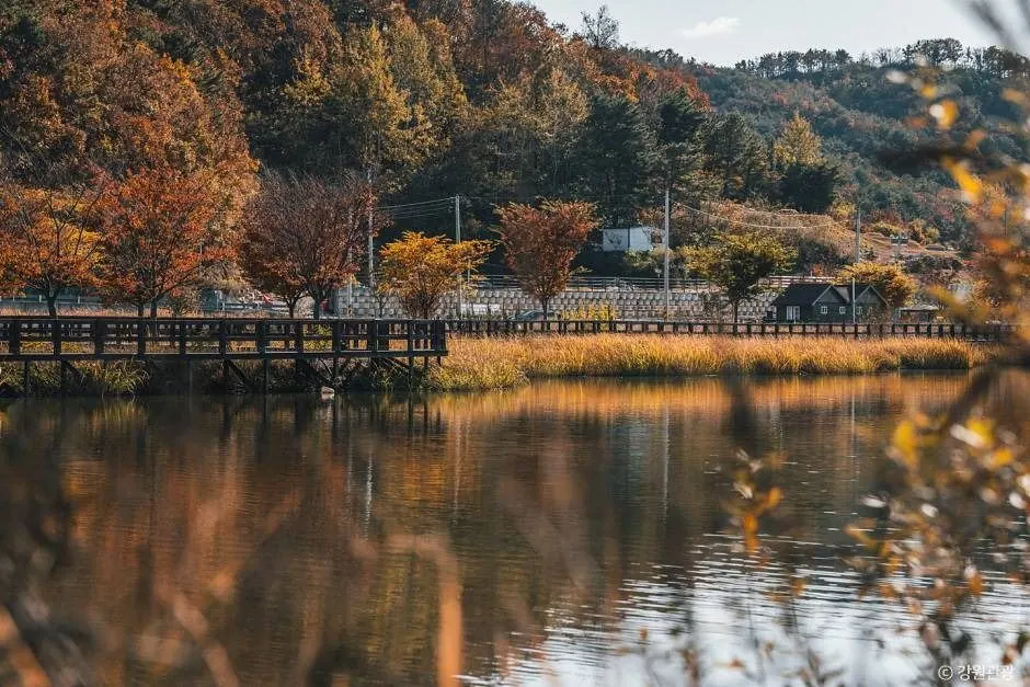 학저수지