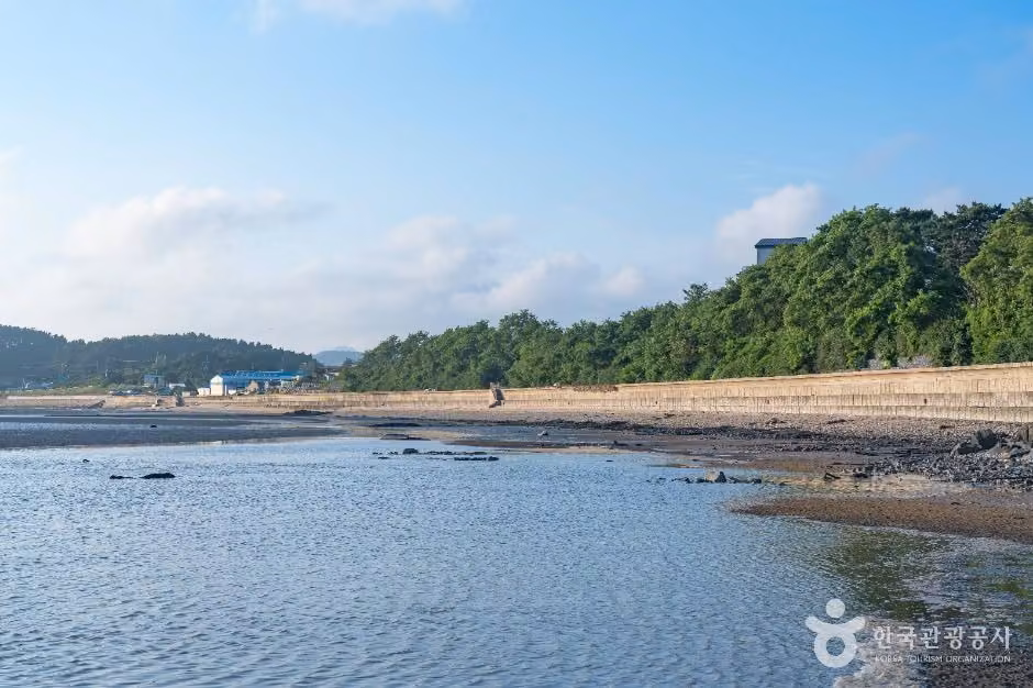 갈목해변