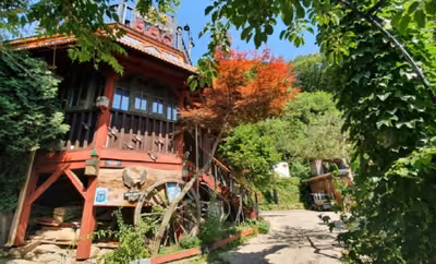 산속비버스
