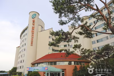 설악파인리조트