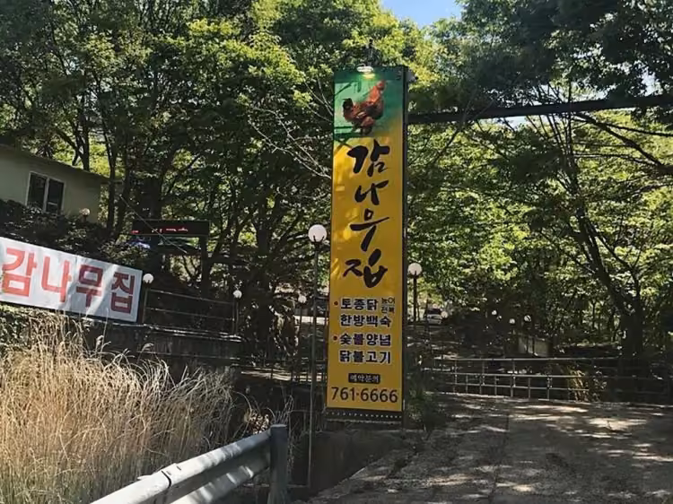 감나무집