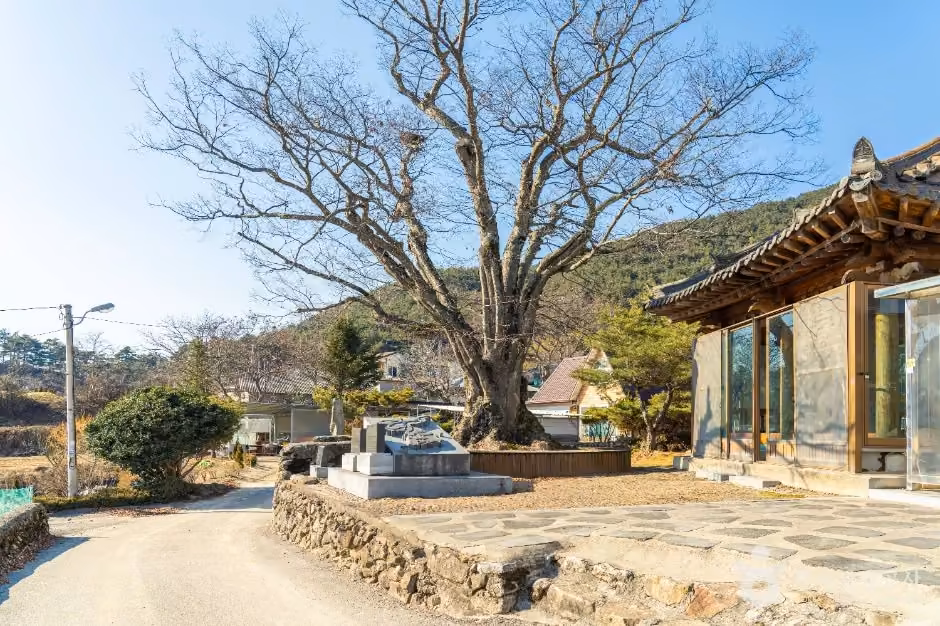 노치마을