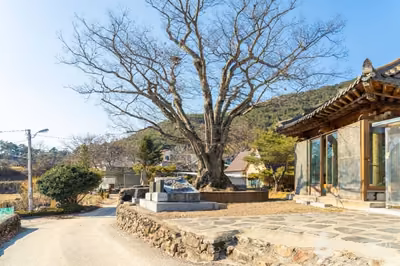노치마을