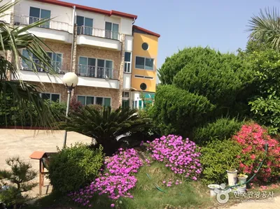 제주 추억여행