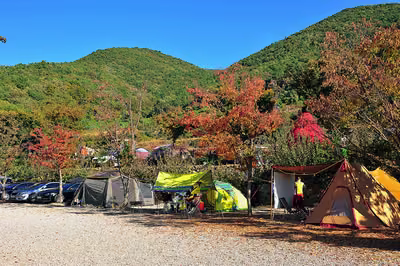 장좌리캠핑장