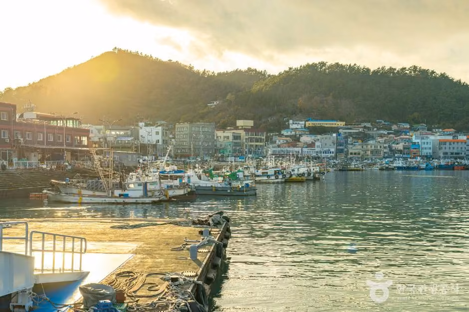 완도항