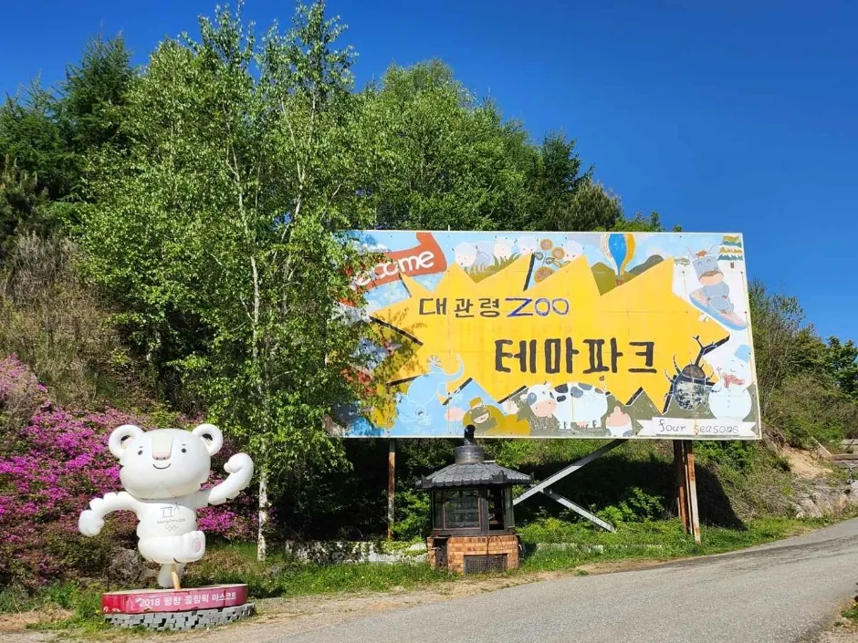 대관령 주주파크