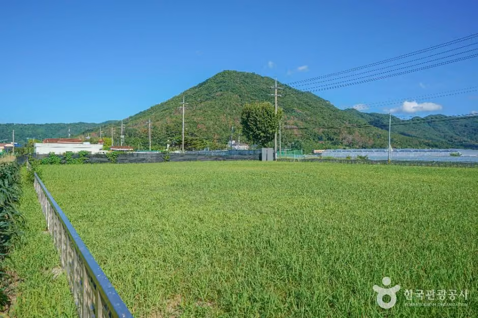 김해 예안리 고분군