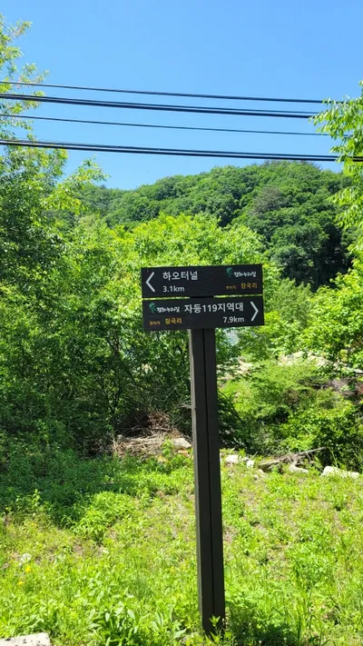 [강원평화누리자전거길 4코스] 철원 누에길