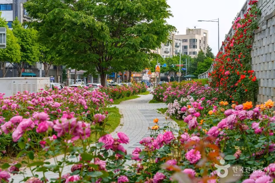 중랑장미공원
