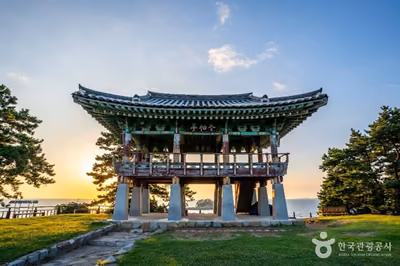 서천 동백정