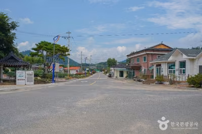 고흥 신기거북이마을
