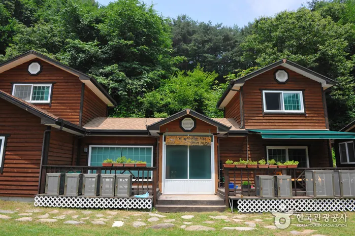 홀로세 생태학교